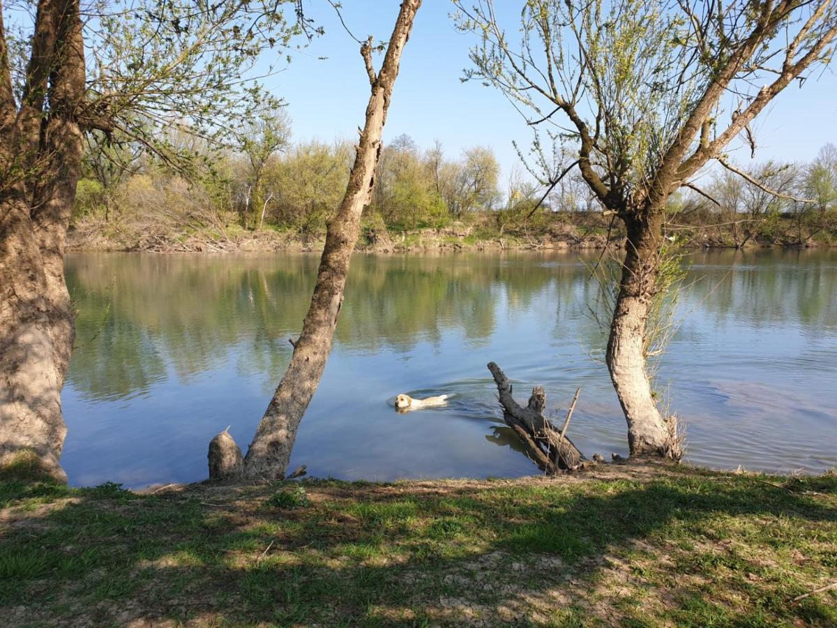 Guest House Studio Apartman Marina - With Jacuzzi, Free Parking, Pet Friendly Karlovac Exteriér fotografie